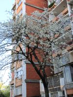 style="width: 100%; height: 100%; object-fit: cover;"