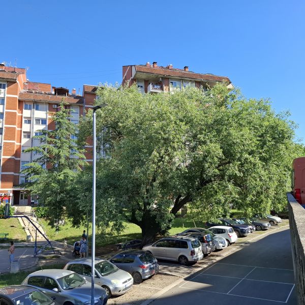 File:Vrba d2.jpg