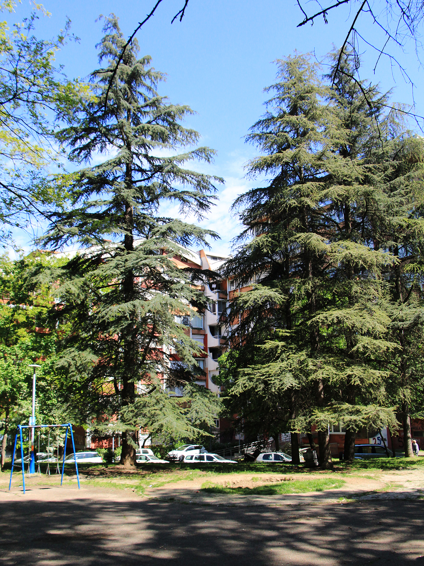 Kedar