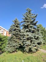 style="width: 100%; height: 100%; object-fit: cover;"