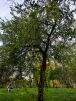style="width: 100%; height: 100%; object-fit: cover;"