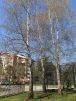 style="width: 100%; height: 100%; object-fit: cover;"